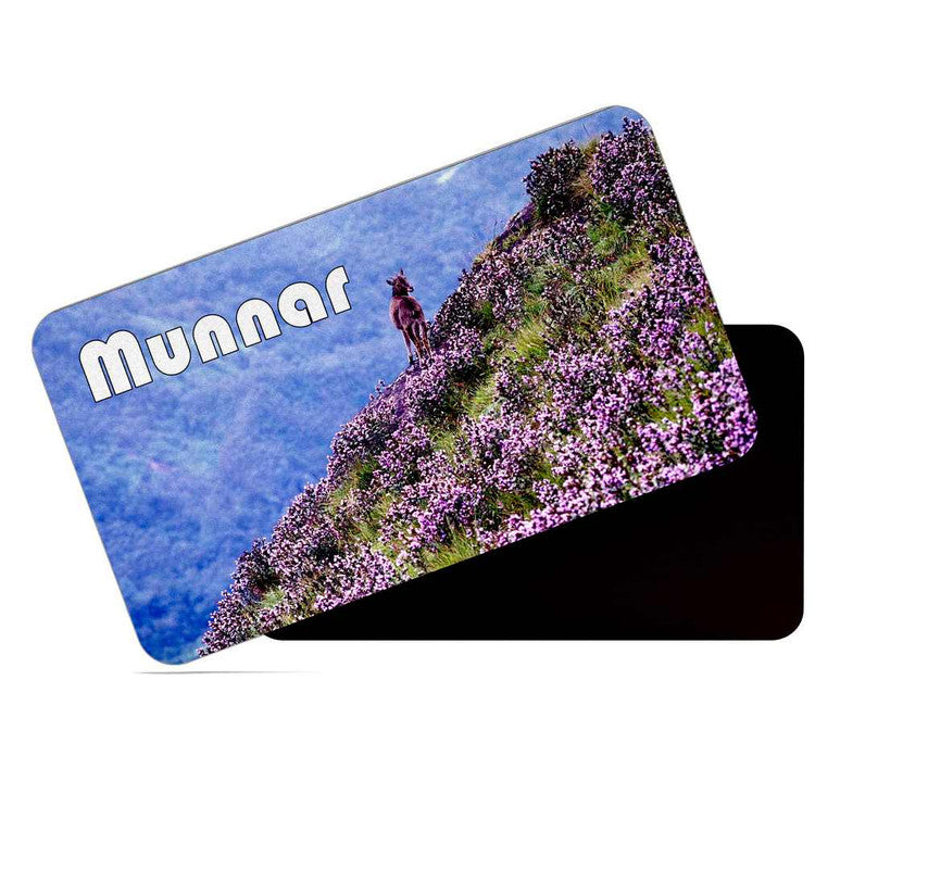 dhcrafts Rectangular Rubber Fridge Magnet / Magnetic Card Multicolor Kerala Munnar D1 Neelakurinji Design Pack of 1 (8.6cm x 5.4cm)